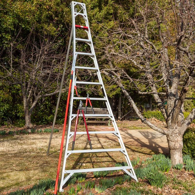 Aluminum Orchard Ladder (12') - Grow Organic