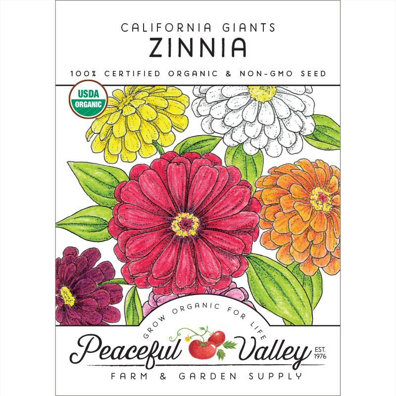 Zinnia Flower Seed Packs