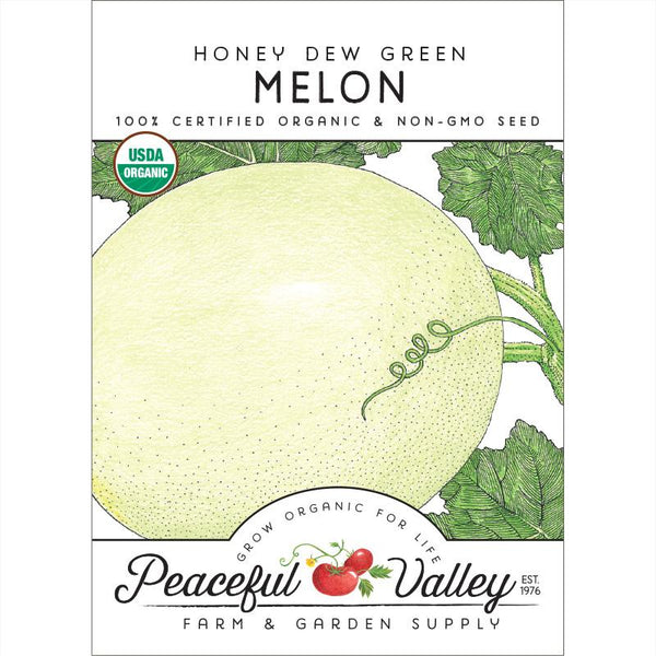 Honey Dew Melon (Bulk) - Bentley Seeds